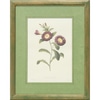 Green Mat Botanical 3