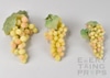 Small Fake Bunch of White Grapes
