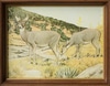 Arizona White-Tailed Deer