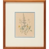 Botanical with Thick Blue Trim 1