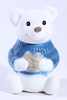 Teddy Bear Cookie Jar