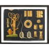 Large Antique Academic Botanical Diagram I