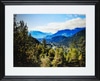 Landscapes