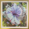 Floral Abstract #4