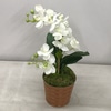 SILK White orchid planter