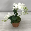SILK White orchid planter