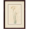 Botanical in Dark Wood Frame 3