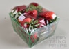 Fake Packaged Strawberries in Green Plastic Container