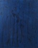 Mixed Dark Blue Plaster