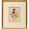 The Ladies Flower Garden: Annuals with Plum Trim Mat 5