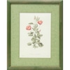 Green Mat Botanical 2