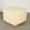 Vintage Laminate Goat Skin End Table