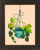 Hanging House Plant II