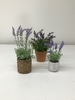 SILK Lavender in Pot