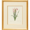 Botanical 1