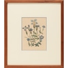 Botanical with Thin Blue Trim 1