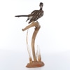 Taxidermy of African Grey Hornbill on Perch Mount
