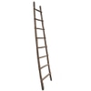 Pueblo Ladder