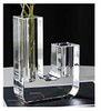 Clear glass candle holder/2 stems vase