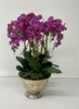 SILK Purple Phalaenopsis Ochid Planter