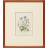 Botanical with Thin Blue Trim 4