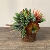 SILK Succulent Cocktail Table Arrangements in Wood Cylinder