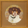 Good Dog  Springer Spaniel  "Ginger"