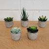 Mini Artificial Succulent