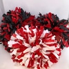 Cheer Pom Poms