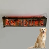 ANTIQUES #05