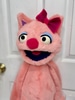 Cleared cat puppet