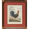 Le Coq Print