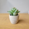 Mini Artificial Succulent