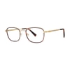 Seraphin Duncraig TORT Tortoise/Goldstone 50-20