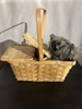Small Dog in Basket