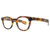 eyebobs Total Wit Tortoise 2164 19 46-22