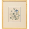 Blue Botanicals  3