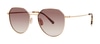 Paradigm 19-30 YG Gold 53-18