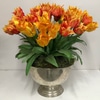 Orange Parrot Tulips in Silver Bowl