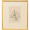 Blue Botanicals 5