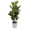 Potted Tree; Wide leaves, realistic stems,