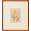 Botanical with Thin Blue Trim 3