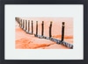 Fence Posts
