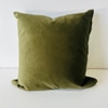 Green & Beige Pillow