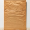 Large Antique Botanical Print I