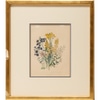 The Ladies Flower Garden Lithograph 1