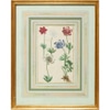 Blooming Florals