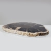 Petrified Wood Slab