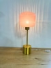 Pink Glass Lamp S2