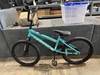 Kids Teal Bike